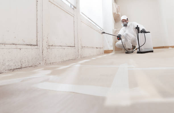 24/7 Emergency Mold Remediation experts in Wenatchee, WA