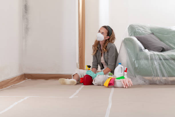Reliable Mold Remediation contractor in Wenatchee, WA by 24 Hour Mold Removal